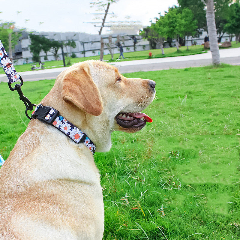 Discover the Perfect Pet Leash Vest for Your Furry Friend
